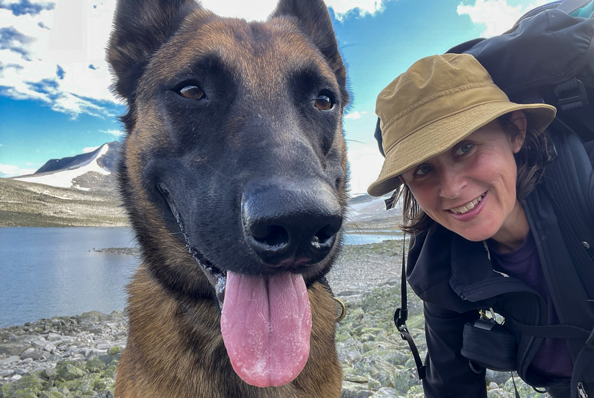 Hunden är med på resan med husbil